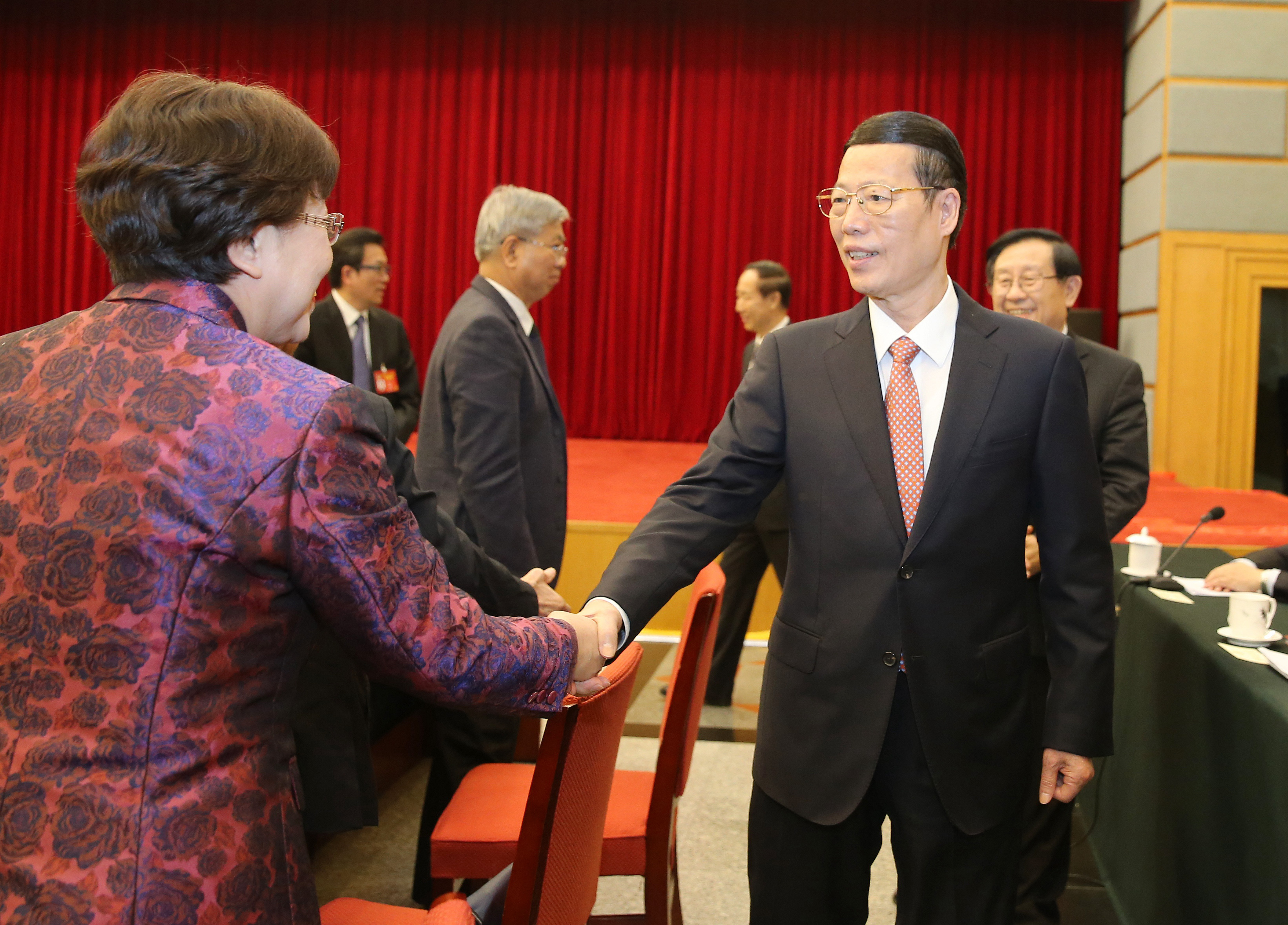 张高丽看望致公、侨联、对外友好界委员并参加讨论