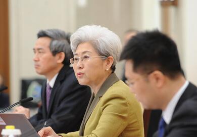 大会发言人傅莹
