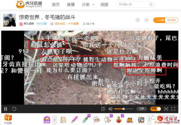 多家直播平台现 打野直播4