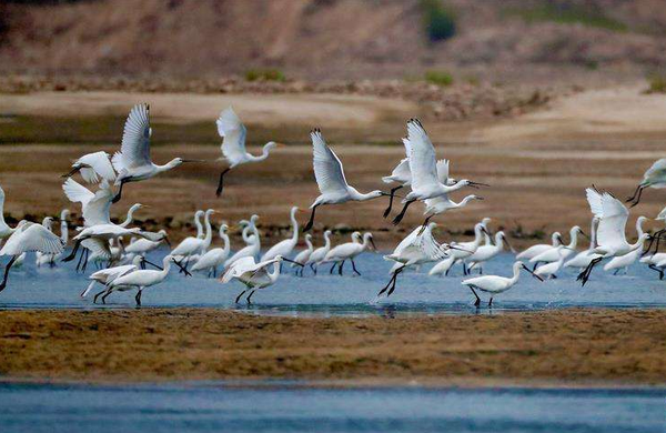 QQ截图20170320105936