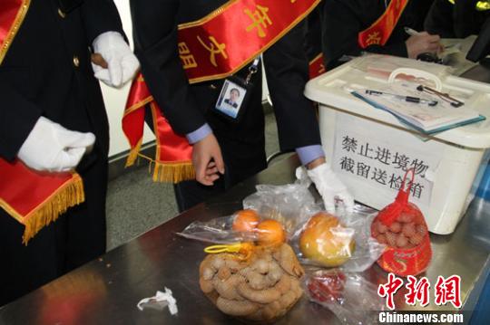 图为甘肃检验检疫局工作人员从旅客携带物中截获植物产品。　钟欣 摄