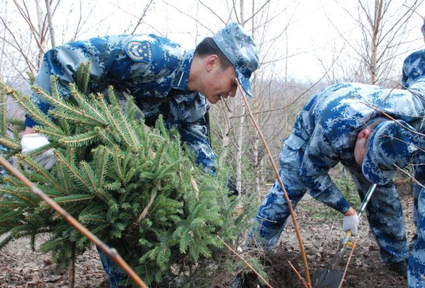 QQ截图20170321111048