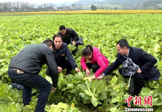 湖南办“农民田间学校”畅通农业科技入户“最后一公里”