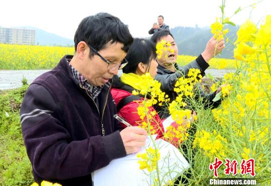 “农民田间学校”老师田间上课。