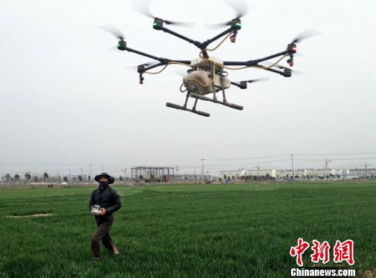 植保无人机“驾临”江苏睢宁田间地头职业飞手成新宠