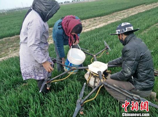 被流转土地的农民还可以给飞手队帮忙挣劳务费。　朱志庚 摄