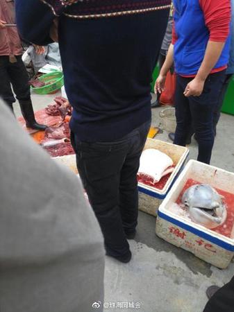 曝广东街头有人当场宰杀幼龄白海豚 画面血腥
