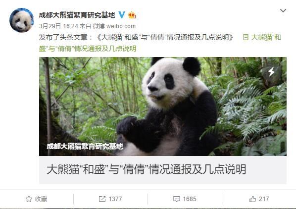 熊猫和盛放归死亡2