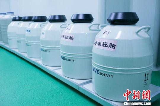 昆明市第一人民医院义诊提供免费胚胎遗传学筛查机会