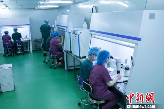 图为进行PGS临床试验的实验室 钟欣 摄