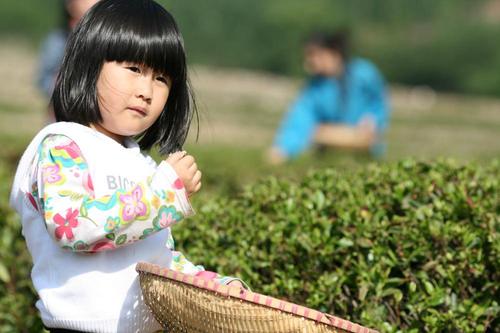 timg (5)