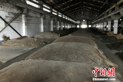 安徽迎驾贡酒分公司内的酿酒工厂。<a target='_blank' href='http://www.chinanews.com/' >中新网</a> 种卿 摄