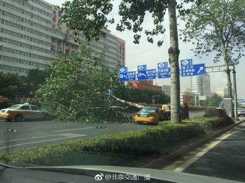 北京海淀一路人被大风刮落的坠物砸中头部身亡