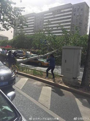 北京海淀一路人被大风刮落的坠物砸中头部身亡