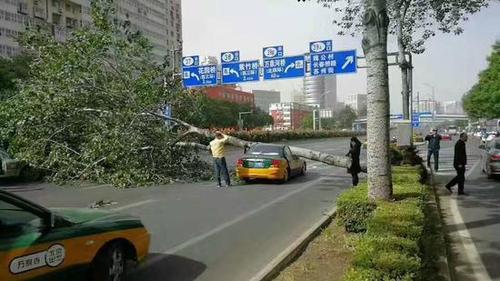 北京海淀一路人被大风刮落的坠物砸中头部身亡