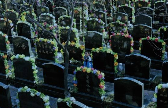 QQ截图20170508094945 QQ截图20170508094945