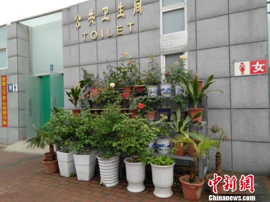 郑州老人种花打造花园式公厕：做事就要做到最好