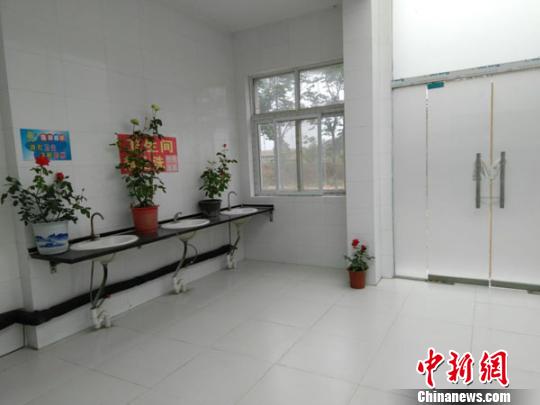 公厕内摆放的一些月季花，不仅能改善室内空气质量指数，而且还能使市民心情愉悦。　王秋兰 摄