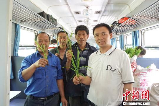 图为几名秧苗购买团成员向旅客们展示他们此行的收获。　包亮 摄