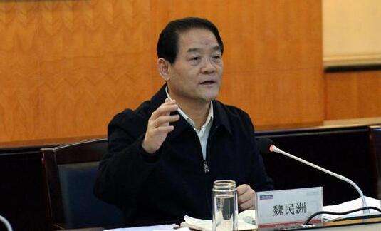 陕西省副书记魏民洲违纪