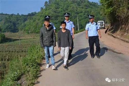 禄丰三小伙偷车归来路遇车祸 见死不救还盗走伤者现金和手机