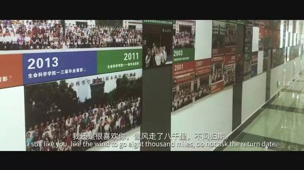 南大女生写下“毕业百事记” 时光荏苒,校园是年少模样