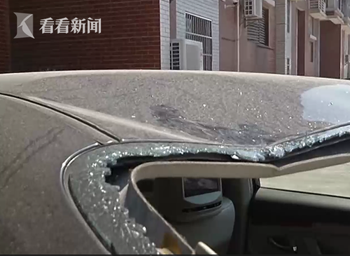 甲鱼从天而降砸穿小轿车 业主拒赔:又不是我扔的