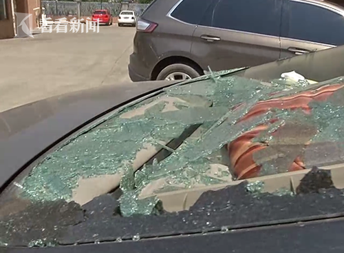 甲鱼从天而降砸穿小轿车 业主拒赔:又不是我扔的
