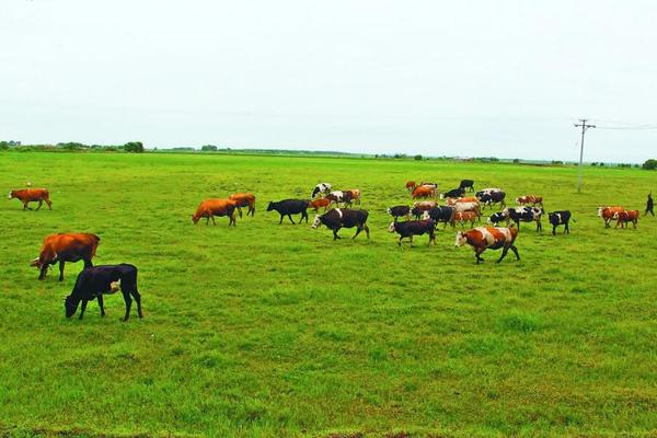 QQ截图20170612112931 QQ截图20170612112931