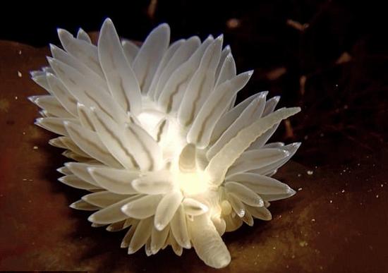 b4800706a443320a9c45b8d8cef0a5c7