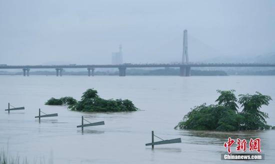 长沙湘江路沿江风光带上的大树与路灯被淹。 <a target='_blank' href='http://www.chinanews.com/'>中新社</a>记者 杨华峰 摄 长沙湘江路沿江风光带上的大树与路灯被淹。 <a target='_blank' href='http://www.chinanews.com/'>中新社</a>记者 杨华峰 摄
