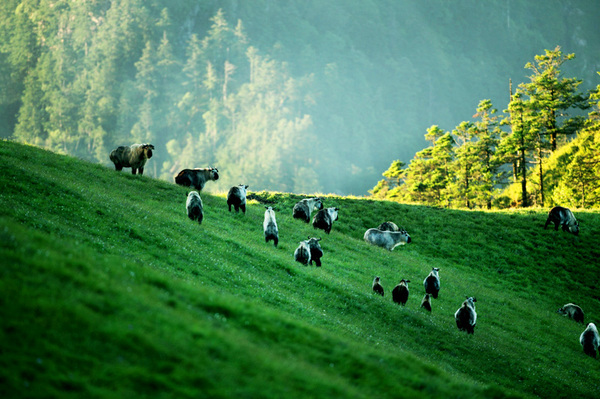 d946666e72af76deafa8ccc53014d843