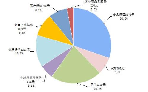 2017年上半年居民人均消费支出及构成 图片来源：国家统计局网站