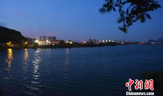 福建湿地公园湖面接连现死猪相关部门叹“执法难”