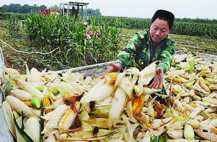 QQ截图20170721135630 QQ截图20170721135630