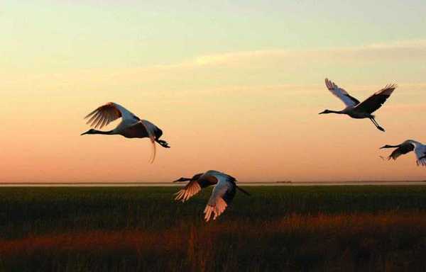 u=1825761349,776941367&fm=214&gp=0