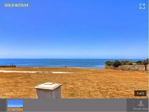 贾跃亭已筹到3370万美金 在美国到底有多少套房？