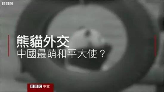外媒:熊猫是中国的赚钱工具、外交手段和置换筹码