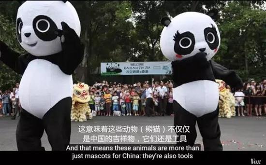 外媒:熊猫是中国的赚钱工具、外交手段和置换筹码
