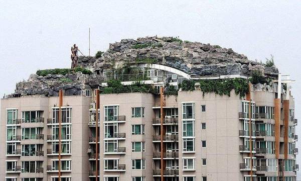 北京最牛违建楼顶又见绿2