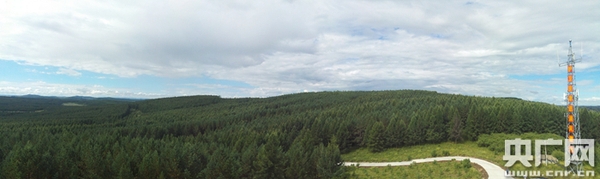 W020170817651491665593