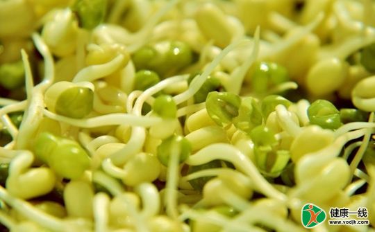 绿豆芽能治病 推荐6款食疗方