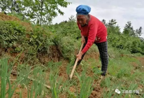 15岁贫困女孩离家2月 疑在南昌陷入传销至今未归