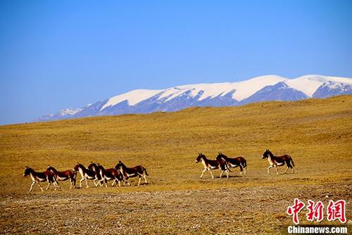 1121566422_15040508218371n 1121566422_15040508218371n