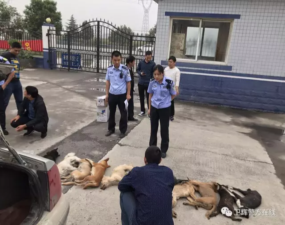 男子射杀土狗后遭遇交警排查 拒绝配合将辅警刮伤