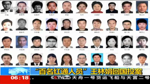 王林娟回国投案3