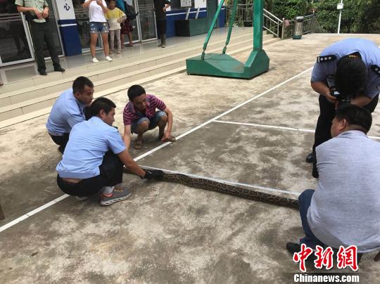 点击进入下一页