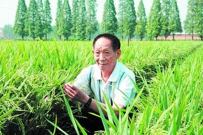 袁隆平宣布成果