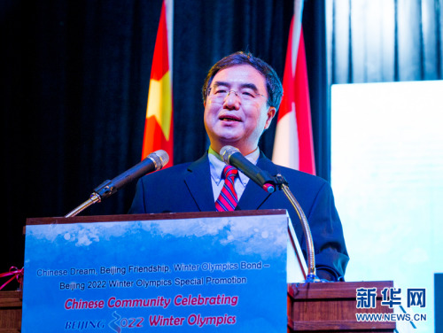 中国驻加拿大大使馆公使衔参赞赵海生致辞。新华网发