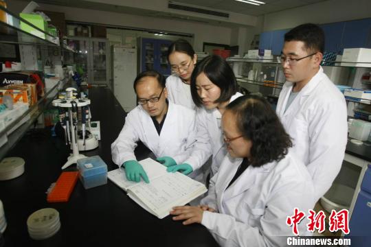 重庆大学科研团队发现肿瘤抑制因子p53调控机制